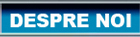DESPRE NOI