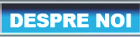 DESPRE NOI